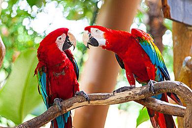 《遗迹2》新DLC“The Dark Horizon”公布 2024年9月上线